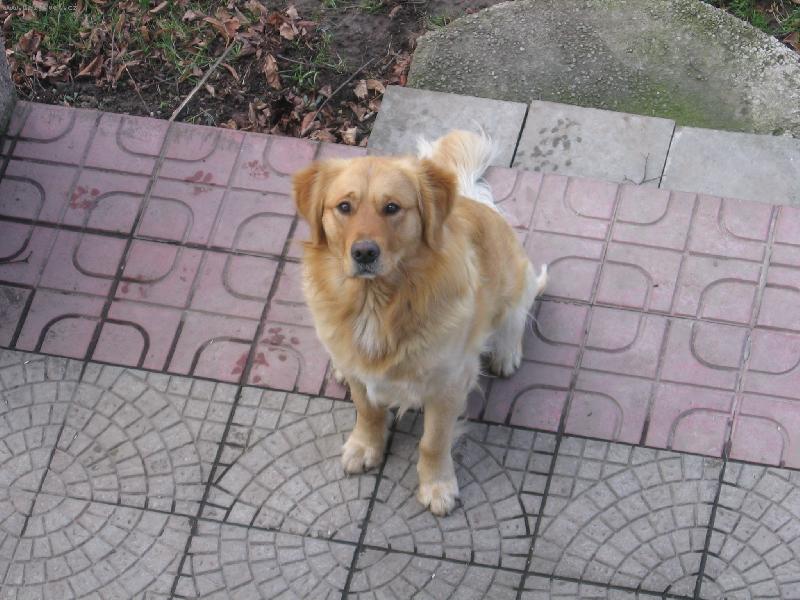 Foto: čekání na dobrotku.-hoď mi pamlsek prosííííííííím!