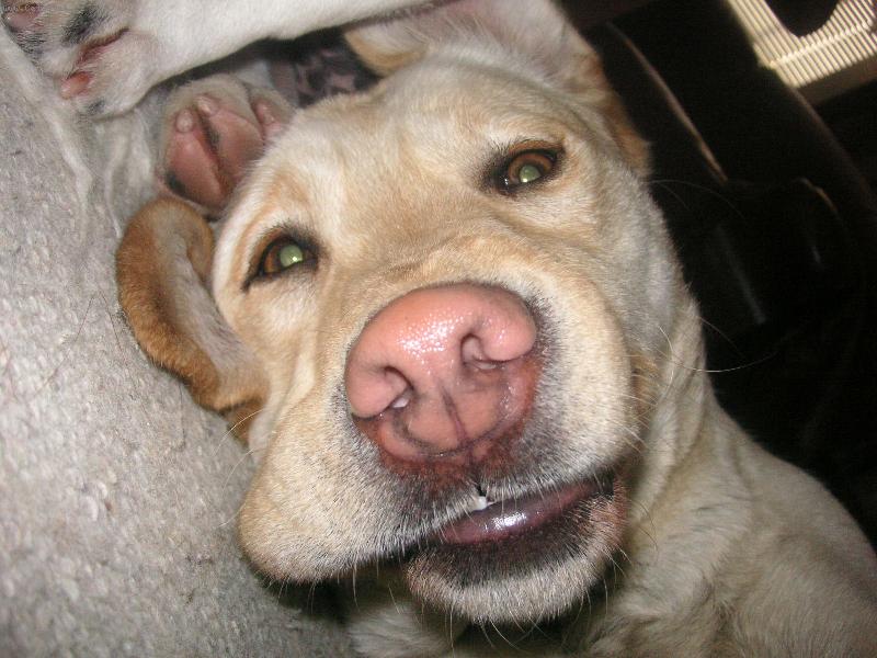 Foto: LINDA-odpočívá