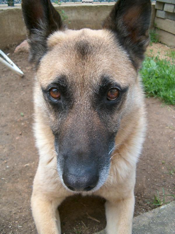 Foto: "Můj táta osel" :-)