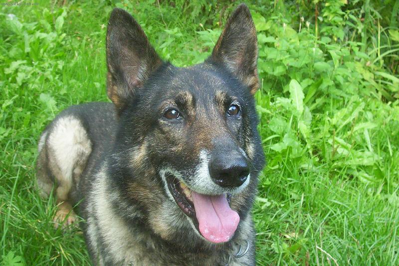 Foto: kuk!!-Beneček