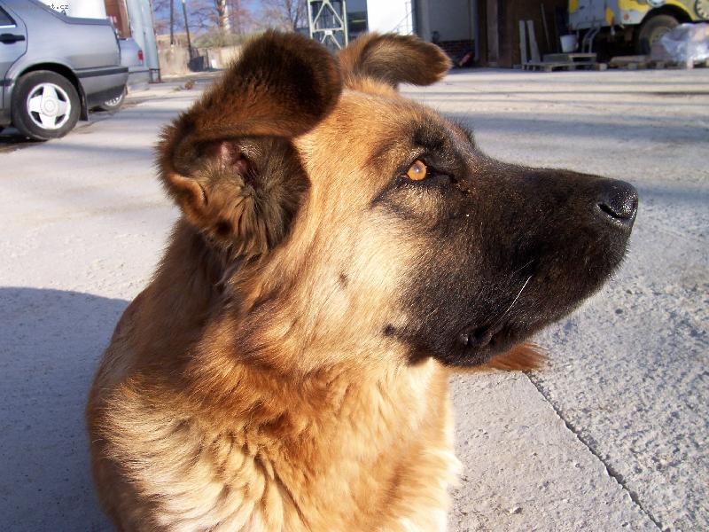 Foto: Dáma Betty-bettynka