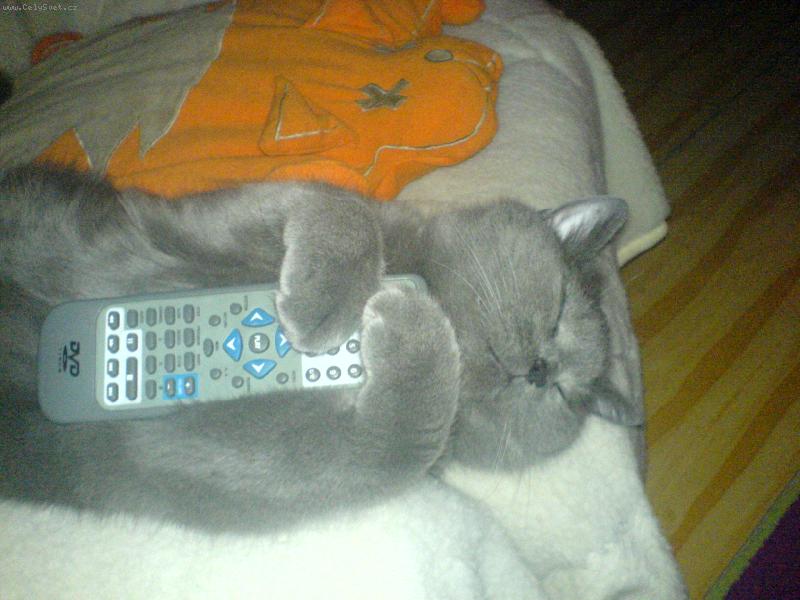 Foto: Briťák-Oskárek