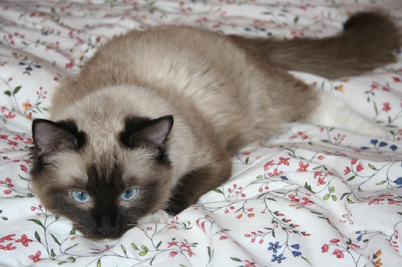 Foto: Vypadám jako myš!!