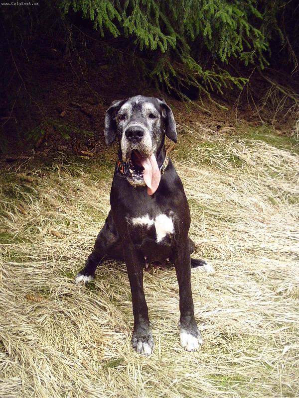 Foto: Leontýnka na procházce