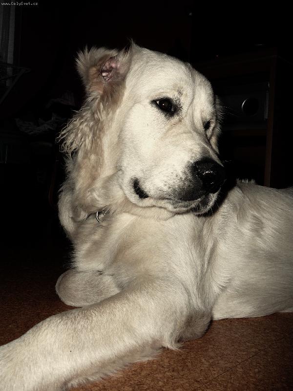 Foto: levý profil mám hezčí....