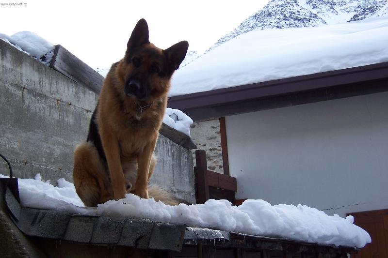Foto: Itálie-Proč na mě tak zíráte a co chcete?
