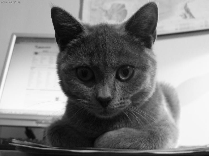 Foto: Z očí do očí