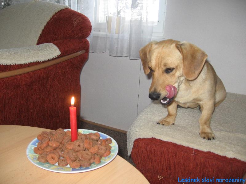 Foto: Lesan slaví narozeniny-všechno nejlepší