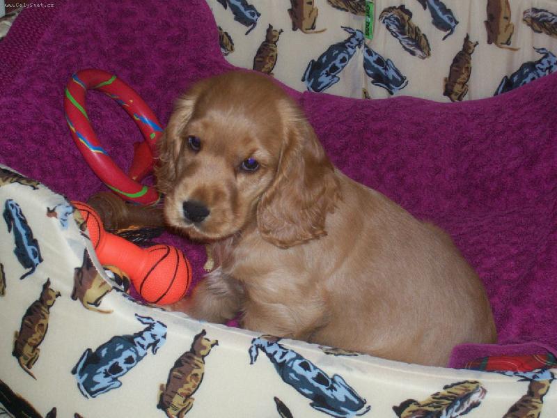 Foto: Gába-to je ale pohled co? ;o)