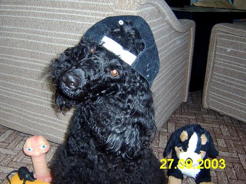 Foto: To je náš fešák...