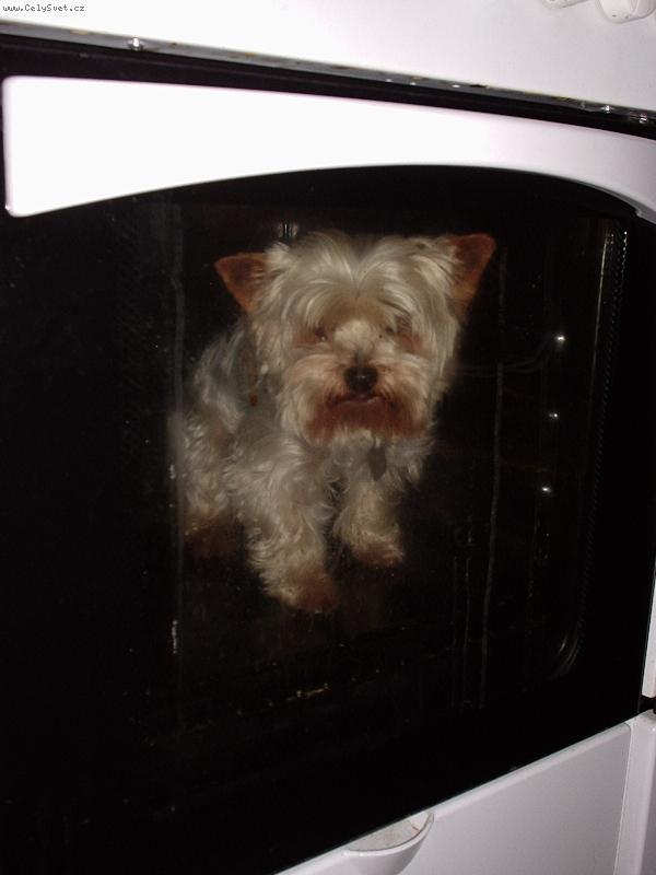 Foto: MiniMax-To mám teplou boudičku