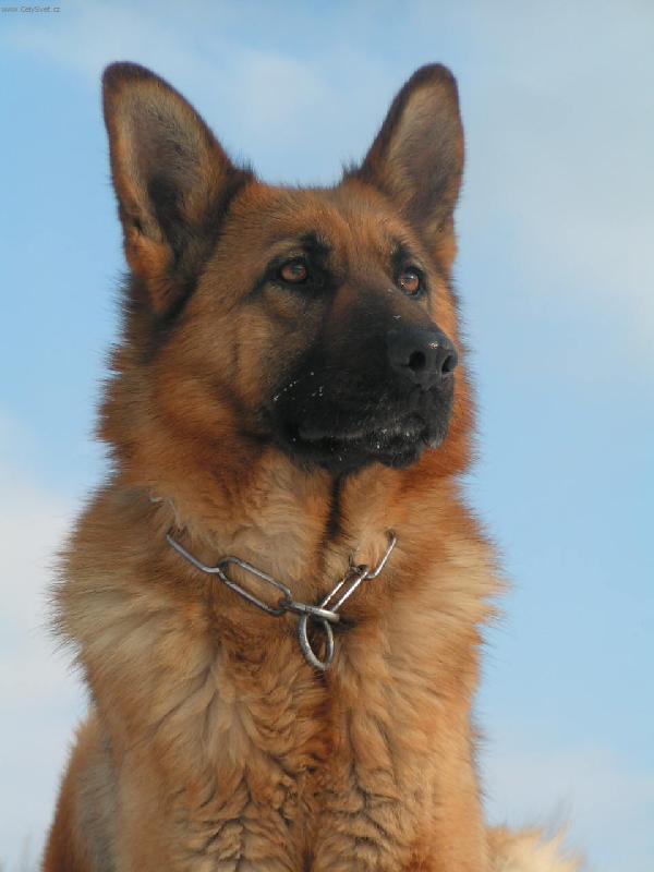 Foto: Na výslní-zima 2006