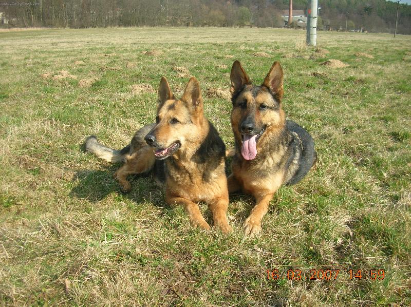 Foto: Asta s Charliem (máma a syn-13 a 9 let)