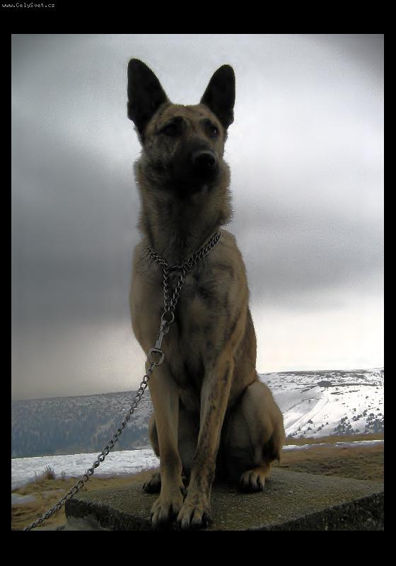 Foto: Sfinga na Pradědu-Carmen