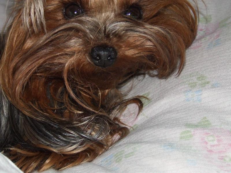 Foto: čooooooooo?-zima 2006