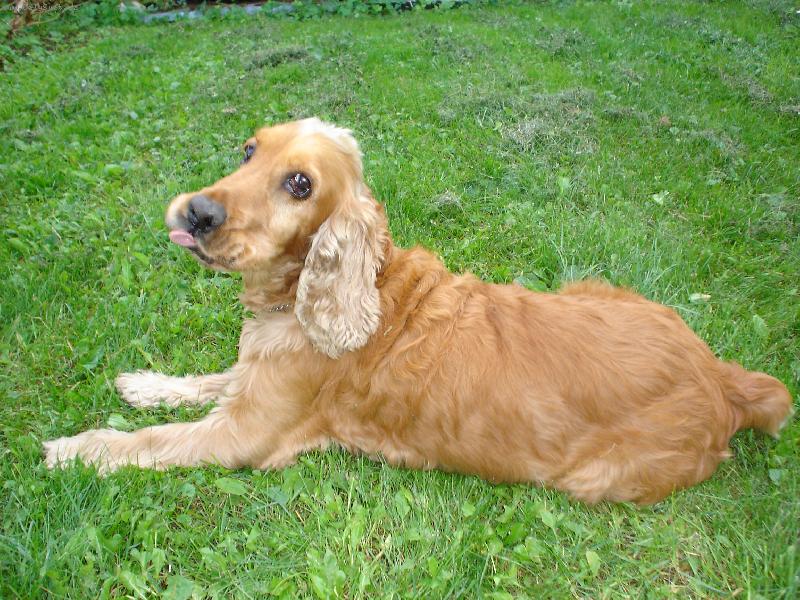 Foto: A takhle na vás vypláznu jazyk:)