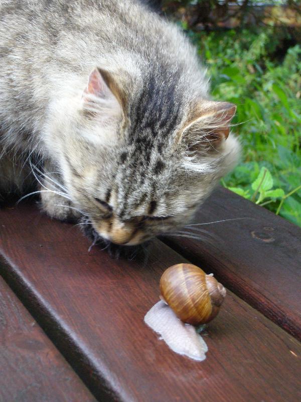 Foto: Pane, pojďte si hrát
