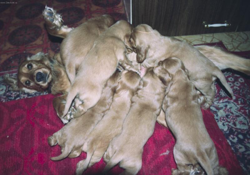 Foto: No čo mám robi??????????-hlad je hlad