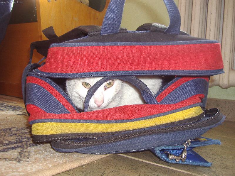 Foto: dnes jdu taky do �koly