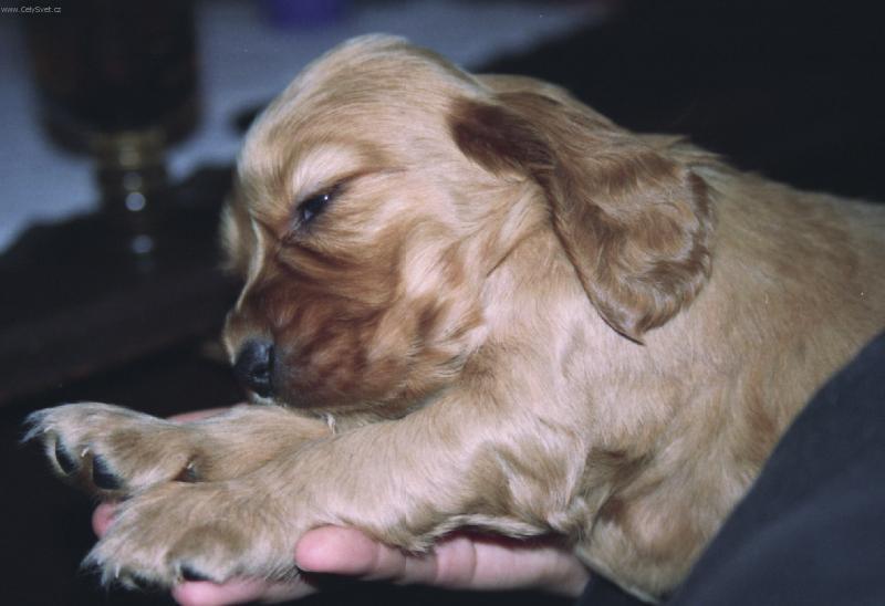 Foto: Ešte chvíľu chcem spinkať-na rukách