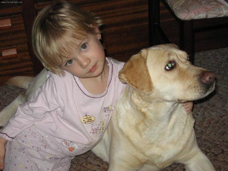 Foto: jedna krásnější jak druhá-dcerka drží naší fenku Shejnu