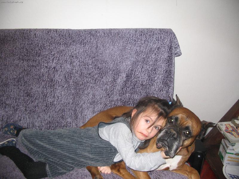 Foto: Naši miláčci-Náš 9 letý boxer je opravdu miláčkem naší dcery - hodnějšího psa jsem nikdy nepoznala