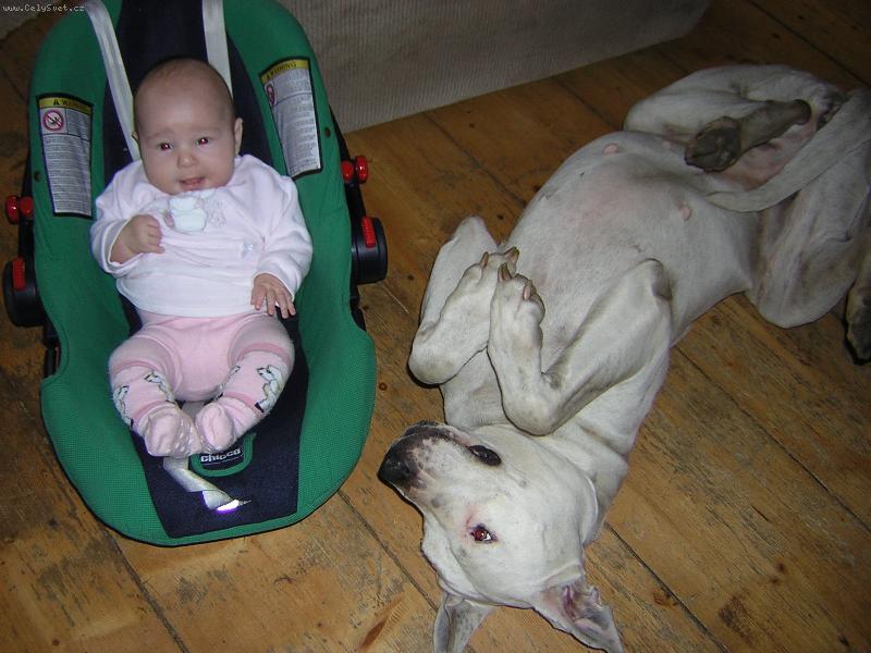 Foto: Přátelé-Nerozluční kamarádi