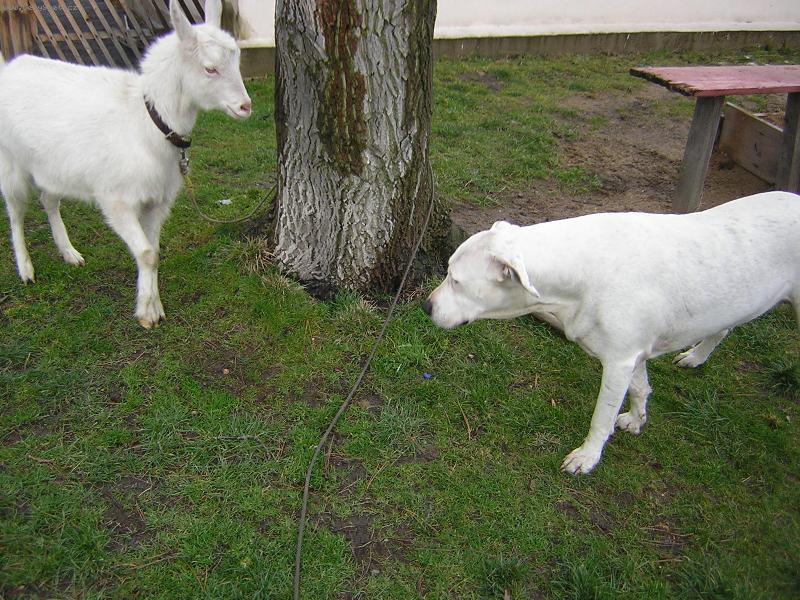 Foto: Kamarádi-Kam dnes půjdem