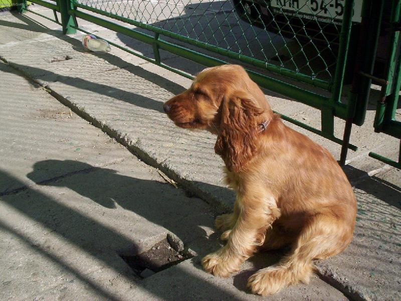 Foto: Keny-to je ale fičák