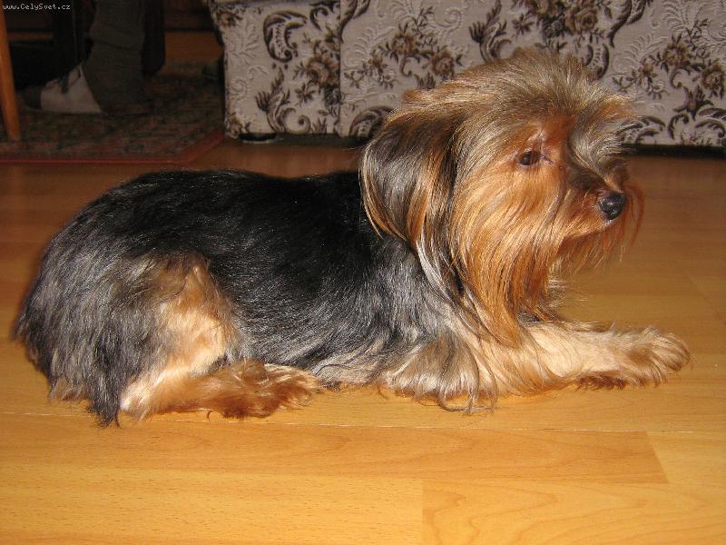 Foto: SINDY-JÁ SE RÁDA FOTÍM