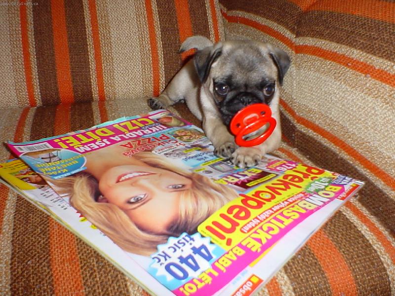 Foto: Odpočinek-Co tam asi píšou ?