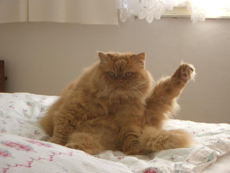 Foto: Odpolední gymnastika