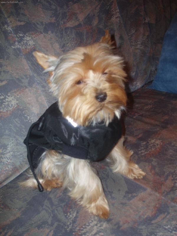 Foto: Můj první obleček.-Vůbec se v tom necítím!