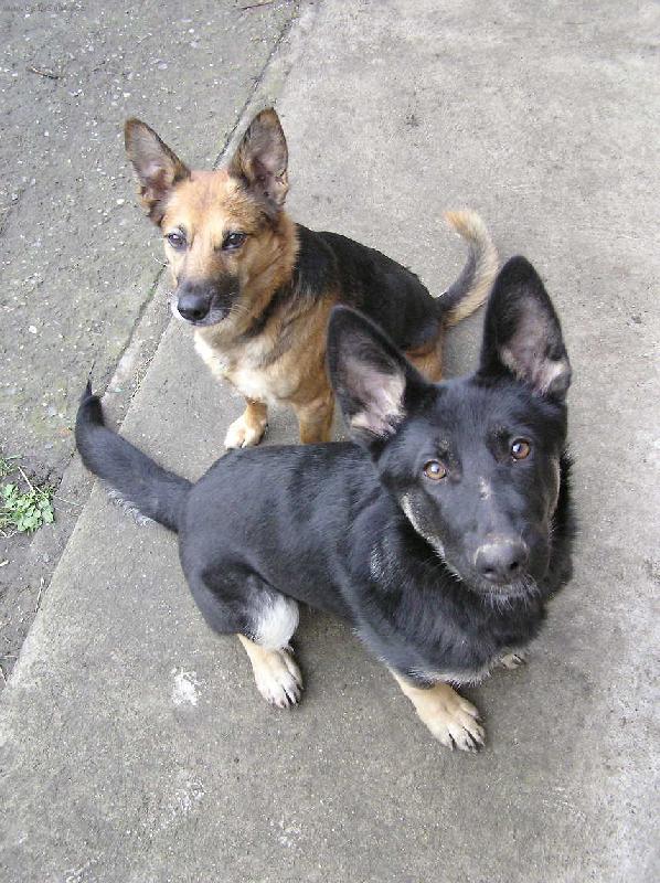 Foto: Dva "andílci"-Matýsek a Terezka