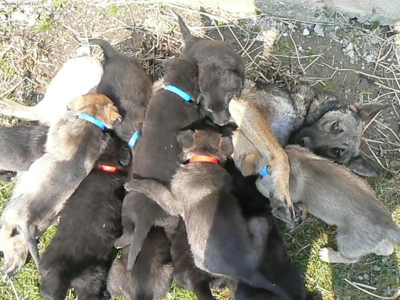 Foto: máma není skoro vidět,když se do ní pustíme..11nás je-11 je pěkné číslo