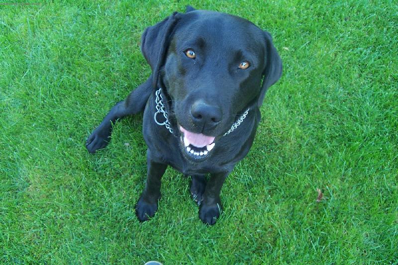 Foto: Sakra kdy už z toho okna něco spadne!!!-Loudění