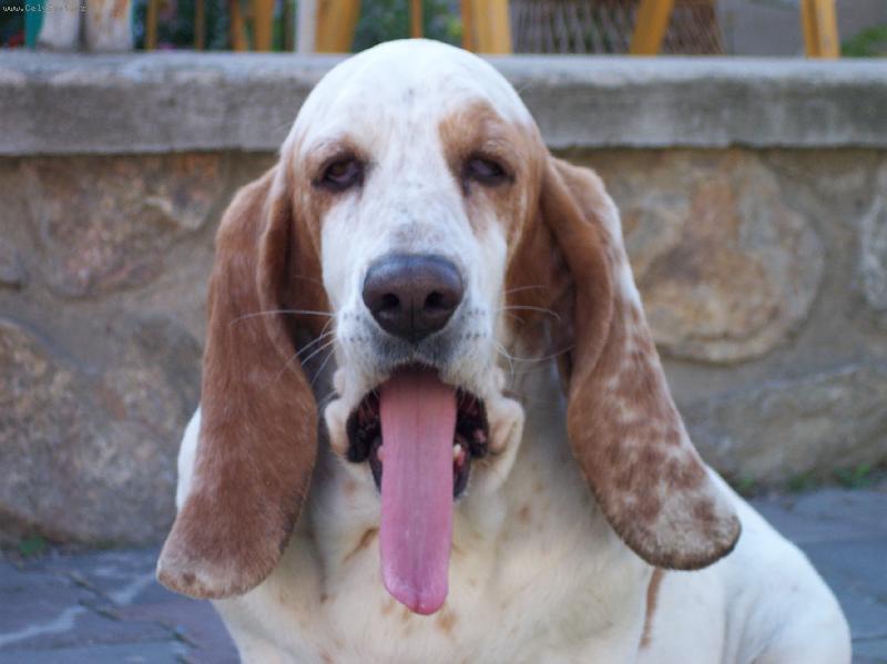 Foto: Kašlu na vás-Naše Sindy na nás kašle