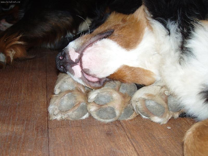 Foto: Únava-Fabio Bersaltyna