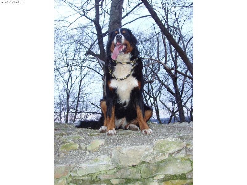 Foto: Na výletě..-Elen ze Staměřic