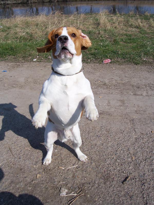 Foto: prosííím-dáš mi něco?