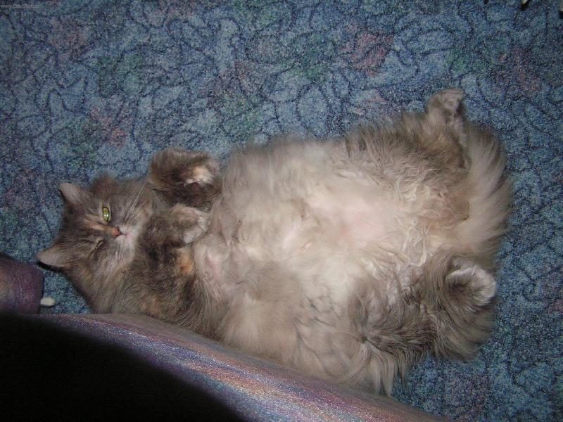 Foto: Lady Jenny-Tak takhle spinkám :-)