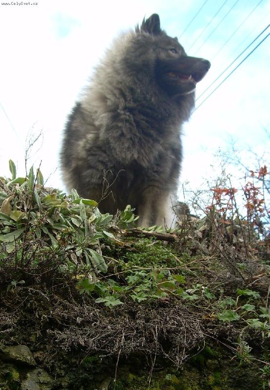 Foto: Belinka-Bella Zimní sen