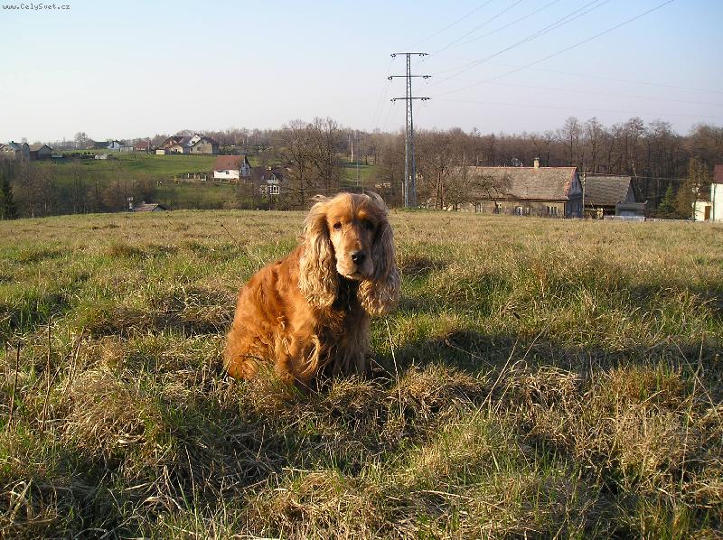 Foto: Shelly-To je krajinka,co?
