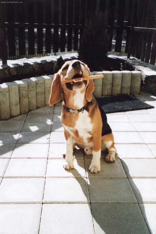 Foto: Já to rozkousám...