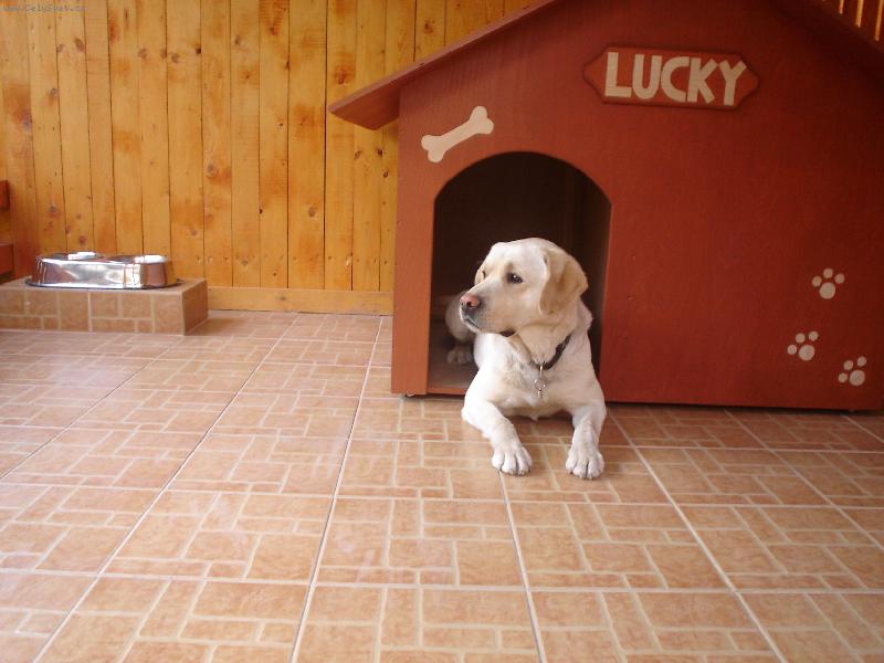 Foto: ve svém království-náš miláček