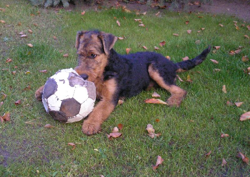 Foto: kdo si jde hr�t