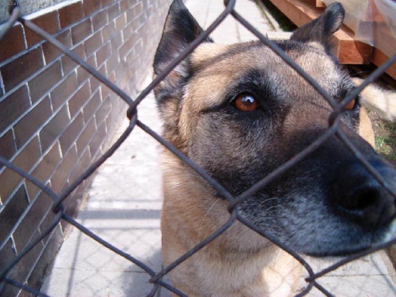 Foto: Asi mě spadlo něco do oka..mrkneš se mě tam:)-Hasan