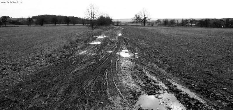 Foto: Česká cestička-směrem od koní