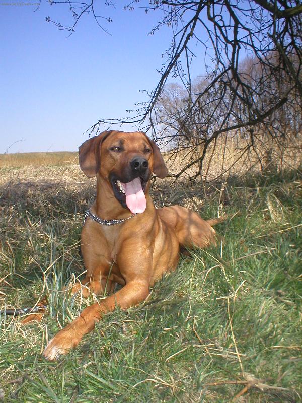 Foto: Dnes, je ale važne hezky...