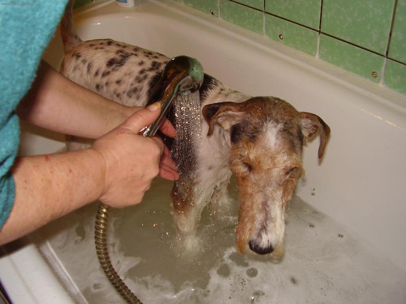 Foto: Koupání-...i voda je kamarád...